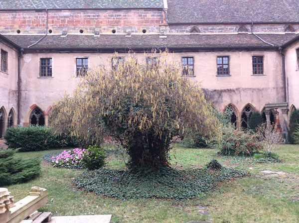 ウンターリンデン美術館 「Musée Unterlinden」