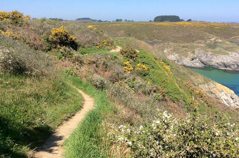 西仏ブルターニュ地方の小さな島、ベル・イル（Belle-Ile-en-Mer）