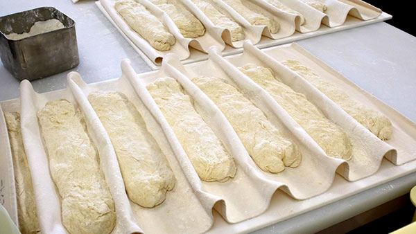 「ネモベーカリーのパン作りを調査」パンラボ池田浩明のパン探偵ファイル