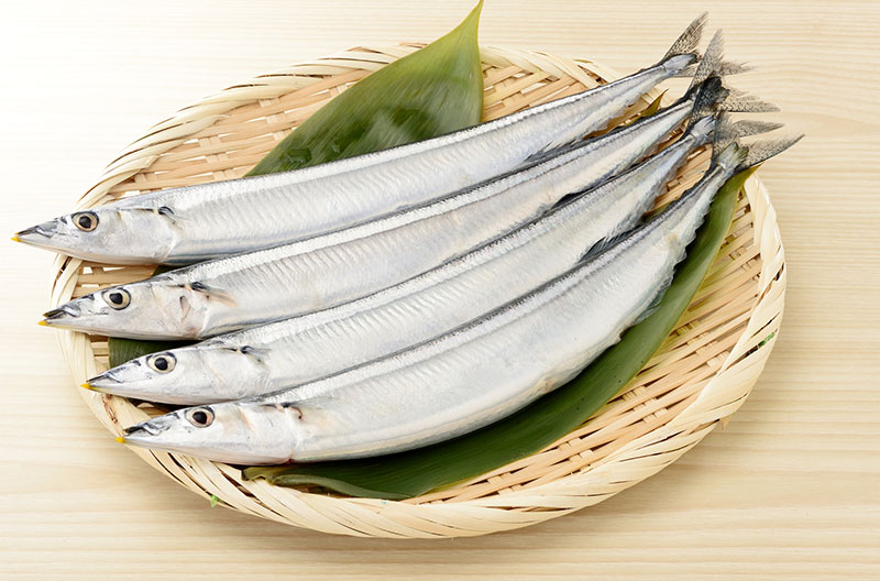 秋刀魚（北海道、宮城）