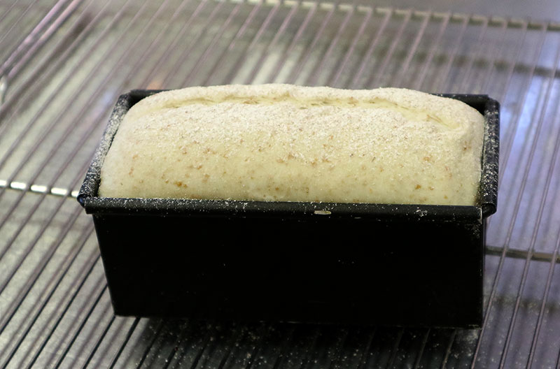 「コンプレ食パン」（全粒粉・ライ麦）こねない簡単なレシピ「TOLO PAN TOKYO」の田中真司シェフ